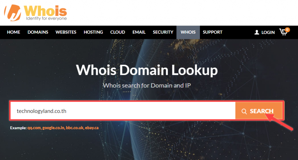 website whois enter domain