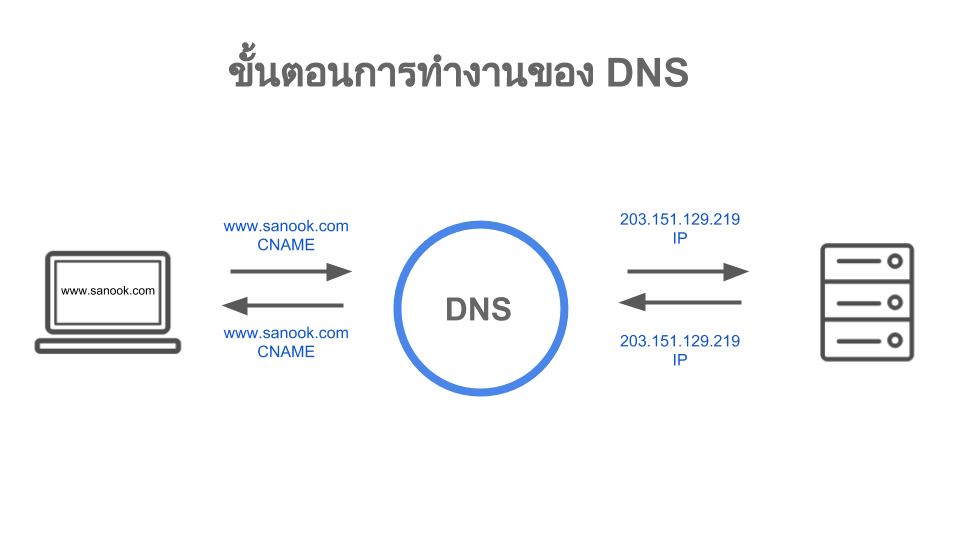 Flow Process DNS